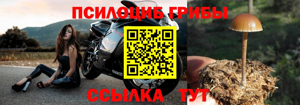 наркотики  Вход с VPN  Орехово-Зуево  Псилоцибиновые грибы мицелий 